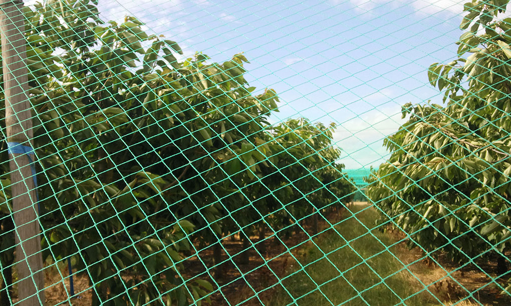 MoonlightProtect Bird Netting • Mulch Film NZ